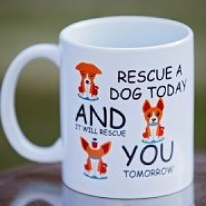 Adopt a rescue